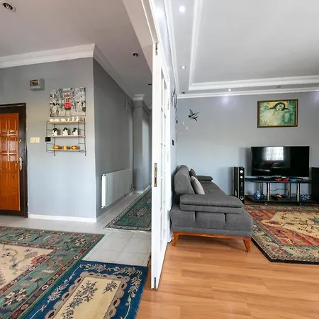 See Suite