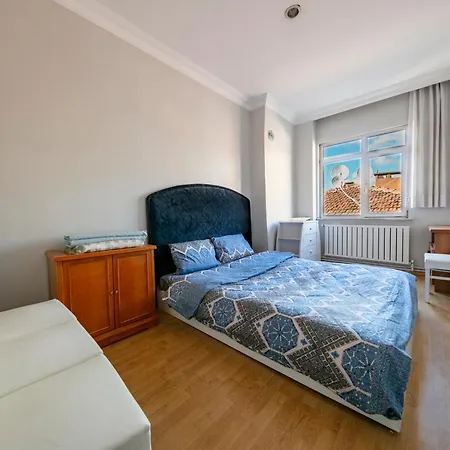 See Suite
